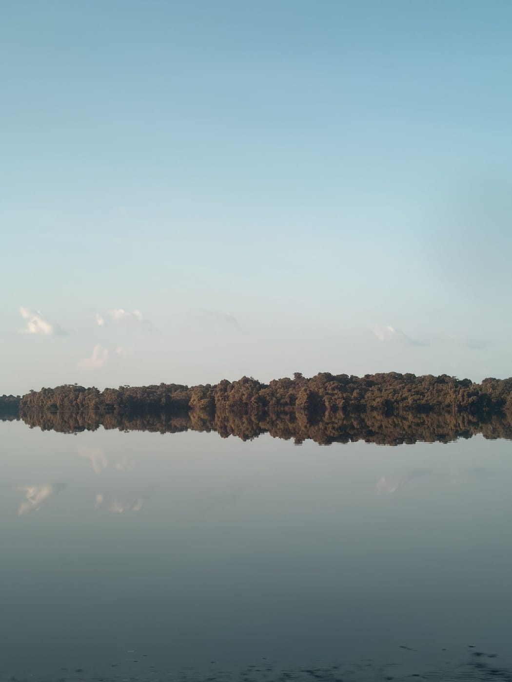 A mata da margem refletida no rio parado, ao fim da tarde