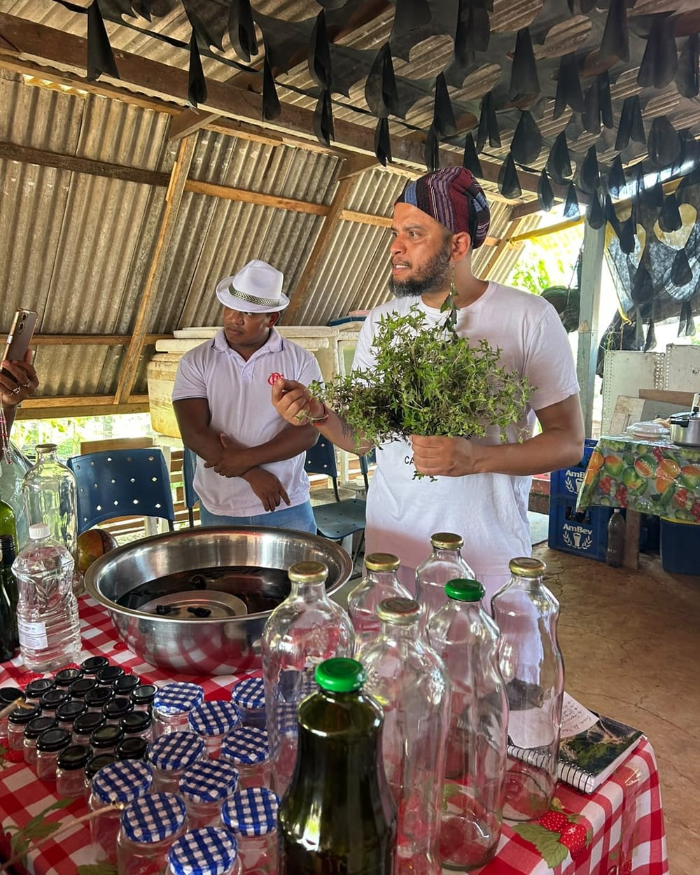 Preparo de garrafadas com ervas frescas, entre frascos e vidros