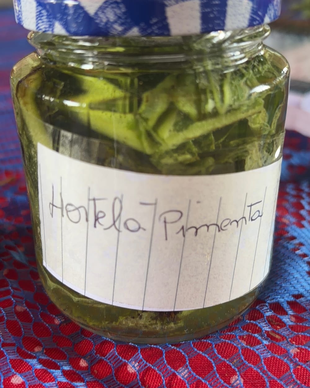 Tintura de hortelã-pimenta num pote de vidro