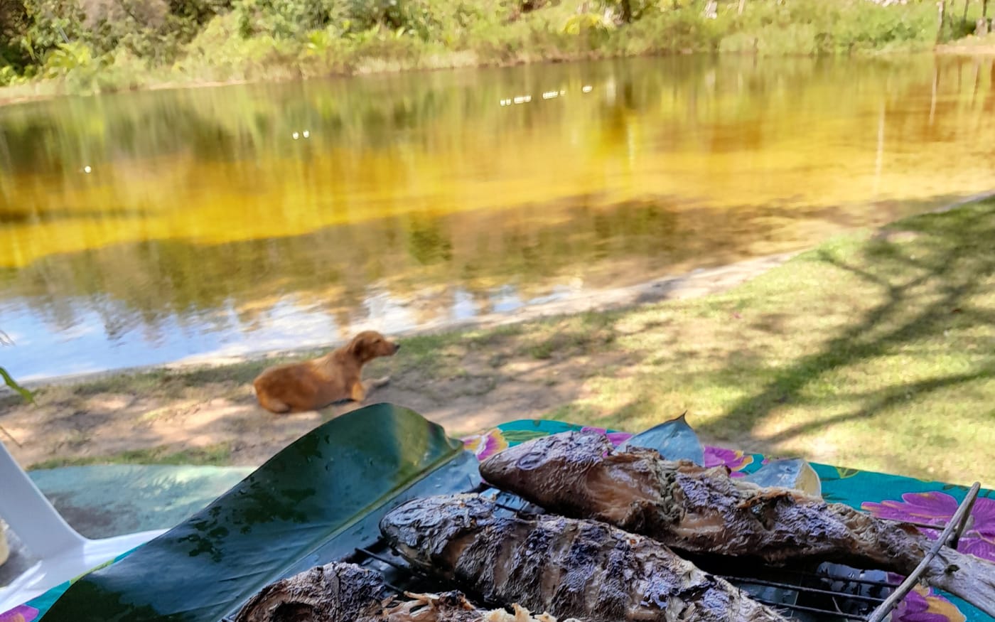 A nascente recuperada pela comunidade do Quilombo Cachoeirinha
